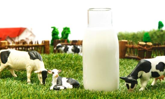 乳業(yè)整個行業(yè)的營收也將保持增長  但利潤會呈現(xiàn)增長放緩的趨勢