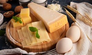 奶酪行業(yè)深度分析 預(yù)計(jì)2023年國(guó)內(nèi)奶酪需求量有望達(dá)到33.19萬(wàn)噸