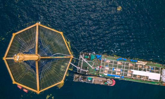 2024海洋新能源行業(yè)深度調研：海洋油氣與新能源融合發(fā)展將成為熱點方向