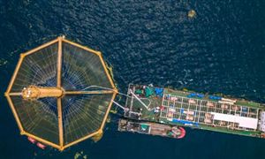 2024海洋新能源行業(yè)深度調(diào)研：海洋油氣與新能源融合發(fā)展將成為熱點(diǎn)方向