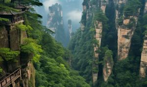 森林旅游行業(yè)市場(chǎng)深度調(diào)研 每年以10%以上的增長(zhǎng)速度發(fā)展