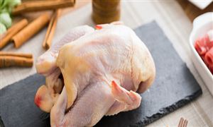 我國白羽肉雞立體養(yǎng)殖實(shí)現(xiàn)三大創(chuàng)新 白羽雞行業(yè)市場機(jī)遇分析2024