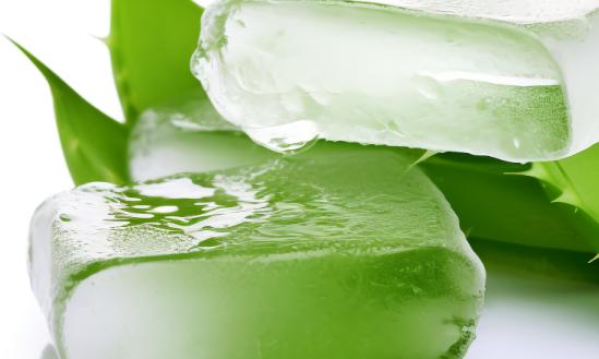 我國(guó)蘆薈制品產(chǎn)值10年內(nèi)將達(dá)80億元以上,開(kāi)發(fā)利用前景廣闊?