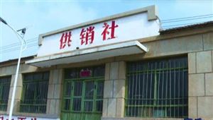 供銷社行業(yè)發(fā)展前景研究與未來趨勢(shì)：廣西供銷社系統(tǒng)實(shí)現(xiàn)年銷售總額2017.58億元