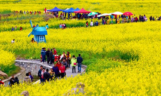 2024休閑農業(yè)與鄉(xiāng)村旅游行業(yè)前景與趨勢：打造綠色低碳的農業(yè)和旅游產業(yè)體系