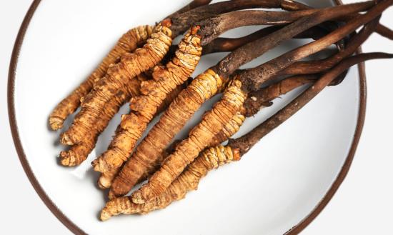 我國冬蟲夏草產(chǎn)業(yè)未來發(fā)展趨勢(shì)分析