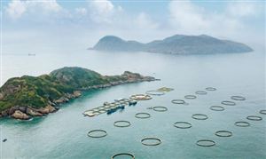出魚了 全國首個(gè) 成功應(yīng)用 海洋牧場(chǎng)市場(chǎng)機(jī)遇與挑戰(zhàn)分析報(bào)告