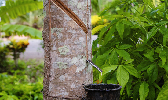 橡膠軟化劑行業(yè)現(xiàn)狀及趨勢分析：綠色化、低碳化成為橡膠軟化劑行業(yè)發(fā)展趨勢