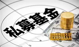 知名女星雪球爆倉了嗎 最新回應(yīng) 私募基金行業(yè)市場前瞻分析報告