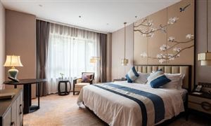 機(jī)場酒店行業(yè)市場深度調(diào)研2024