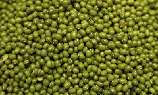 綠豆行業(yè)種植面積、產(chǎn)量及發(fā)展現(xiàn)狀分析