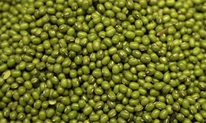 綠豆行業(yè)種植面積、產(chǎn)量及發(fā)展現(xiàn)狀分析