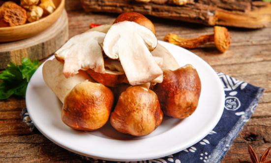 松茸行業(yè)市場(chǎng)深度分析及進(jìn)出口市場(chǎng)分析2024