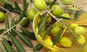 原生橄欖油行業(yè)發(fā)展前景與消費(fèi)分析：向健康、有序、規(guī)范、專業(yè)化方向發(fā)展