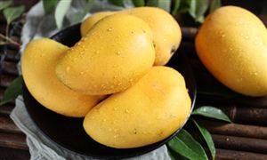 2024年中國芒果產(chǎn)業(yè)發(fā)展現(xiàn)狀及重點(diǎn)企業(yè)的經(jīng)營(yíng)情況