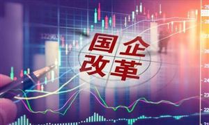 珠海國(guó)資委最新發(fā)布 涉及華發(fā)、格力等 國(guó)企改革市場(chǎng)發(fā)展前景研究與展望分析報(bào)告