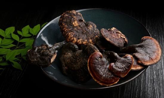 靈芝行業(yè)報(bào)告 靈芝行業(yè)發(fā)展現(xiàn)狀深度調(diào)研分析