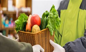 2024食材配送行業(yè)市場(chǎng)怎么樣?食材配送行業(yè)市場(chǎng)機(jī)遇分析