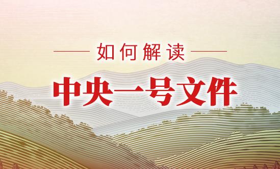 2024年中央一號(hào)文件公布 鄉(xiāng)村振興戰(zhàn)略行業(yè)投資及發(fā)展前景展望2024