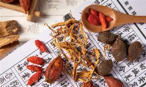 藥食同源行業(yè)發(fā)展前景預(yù)測(cè)及產(chǎn)業(yè)鏈分析