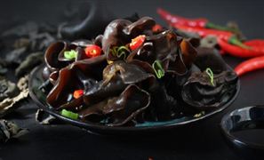 黑木耳行業(yè)深度調(diào)研報(bào)告：2023年生產(chǎn)形勢(shì)穩(wěn)中向好 未來(lái)黑木耳消費(fèi)量將進(jìn)一步增長(zhǎng)