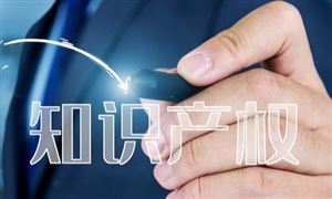 知識(shí)產(chǎn)權(quán)服務(wù)產(chǎn)業(yè)鏈及發(fā)展趨勢(shì)分析2024