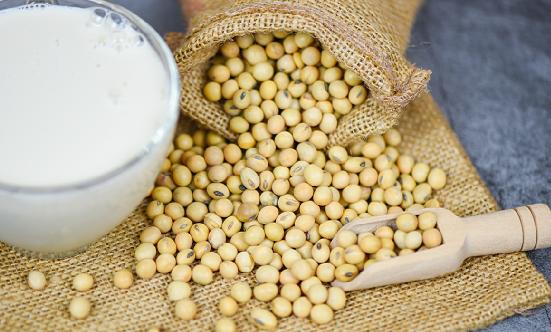 植物蛋白飲料行業(yè)現(xiàn)狀及消費趨勢分析2024