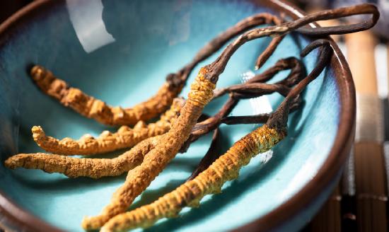 冬蟲夏草行業(yè)市場(chǎng)深度分析報(bào)告2024：中國冬蟲夏草的產(chǎn)量占世界的90%以上