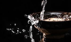 醬香白酒行業(yè)現(xiàn)狀及前景調(diào)研分析