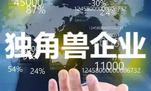 中國獨角獸企業(yè)發(fā)展現(xiàn)狀與投資機會