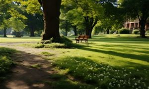 2024年森林公園行業(yè)市場現(xiàn)狀及競爭格局