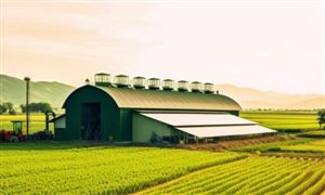 生態(tài)農(nóng)業(yè)未來發(fā)展展望：生態(tài)農(nóng)業(yè)產(chǎn)品的市場前景越來越廣闊