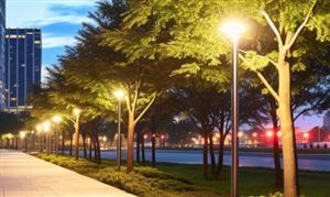 智慧路燈產(chǎn)業(yè)現(xiàn)狀及未來發(fā)展趨勢(shì)分析：未來行業(yè)規(guī)模將呈現(xiàn)快速增長(zhǎng)的趨勢(shì)