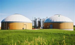 2024合成氨行業(yè)未來發(fā)展空間及需求預(yù)測