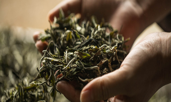 白茶行業(yè)市場發(fā)展現(xiàn)狀及前景機(jī)遇分析