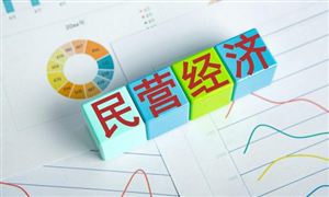 2024年中國(guó)民營(yíng)經(jīng)濟(jì)行業(yè)產(chǎn)業(yè)鏈上下游結(jié)構(gòu)及重點(diǎn)企業(yè)