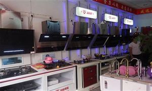2024年廚電項(xiàng)目行業(yè)發(fā)展現(xiàn)狀及發(fā)展趨勢分析