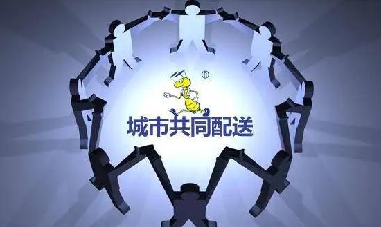 2024城市配送行業(yè)深度調(diào)研及未來趨勢