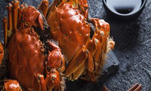 大閘蟹養(yǎng)殖行業(yè)市場(chǎng)機(jī)遇分析