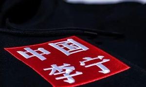 李寧：目前沒有私有化計劃信息可以分享 運動服裝行業(yè)市場深度調(diào)研及投資策略預測報告