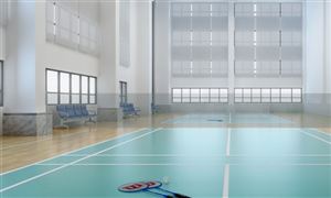 羽毛球館行業(yè)發(fā)展概況及市場運營格局分析