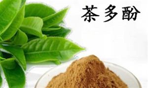 2024年中國茶多酚行業(yè)發(fā)展現(xiàn)狀及重點企業(yè)情況