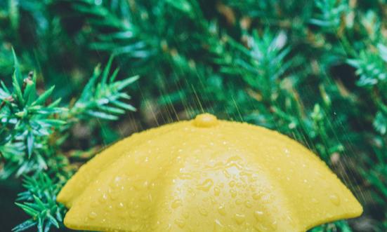 雨傘行業(yè)市場現(xiàn)狀分析及發(fā)展趨勢：健康、環(huán)保、使用便捷是商家加大研發(fā)投入的方向