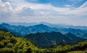 2024中國林業(yè)經(jīng)濟行業(yè)發(fā)展分析