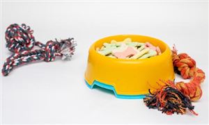 寵物經(jīng)濟(jì)熱度不減 2024年寵物經(jīng)濟(jì)行業(yè)市場深度分析