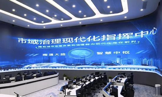 2024年中國數字政府建設行業(yè)全景分析報告