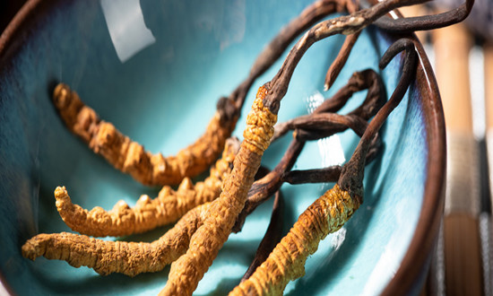 蟲夏草行業(yè)市場(chǎng)現(xiàn)狀：中國冬蟲夏草占世界產(chǎn)量的98%，而青海冬蟲夏草占中國60%以上的產(chǎn)量