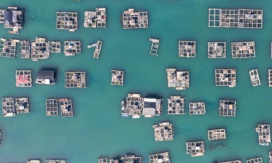 2024海洋牧場(chǎng)行業(yè)未來發(fā)展趨勢(shì)及投資分析