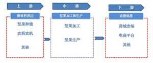 2024年堅果行業(yè)關(guān)鍵成功要素
