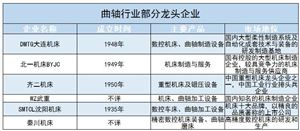 曲軸行業(yè)龍頭企業(yè)、競(jìng)爭(zhēng)格局及未來(lái)發(fā)展趨勢(shì)分析2024